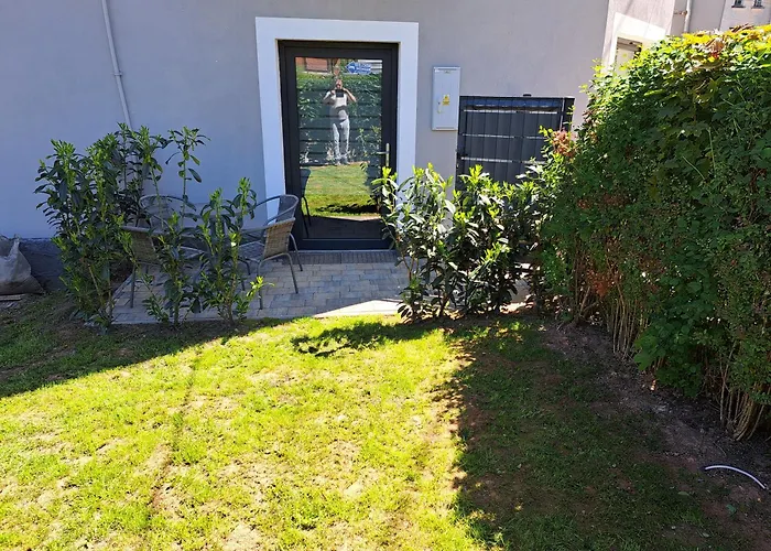 Forest * 라트코프